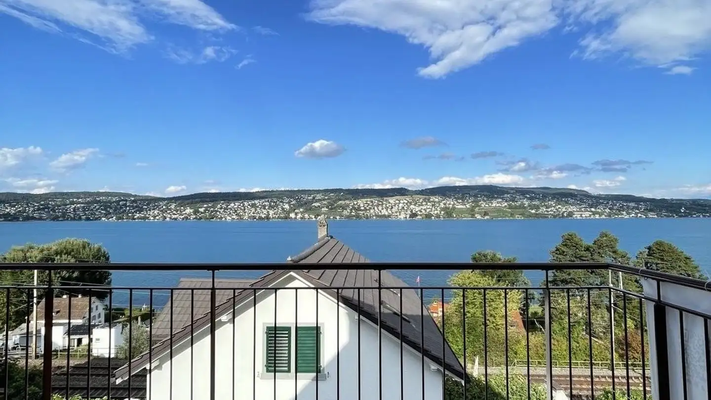 Appartement à louer - 8800 Thalwil - Photo 2