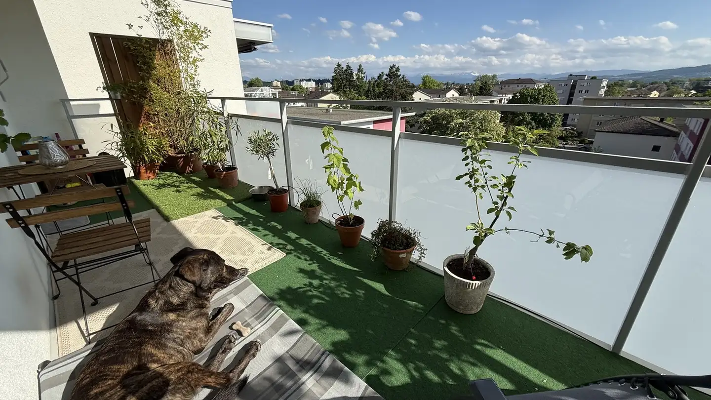 Appartamento ammobiliato in affitto - 8610 Uster - Foto 4