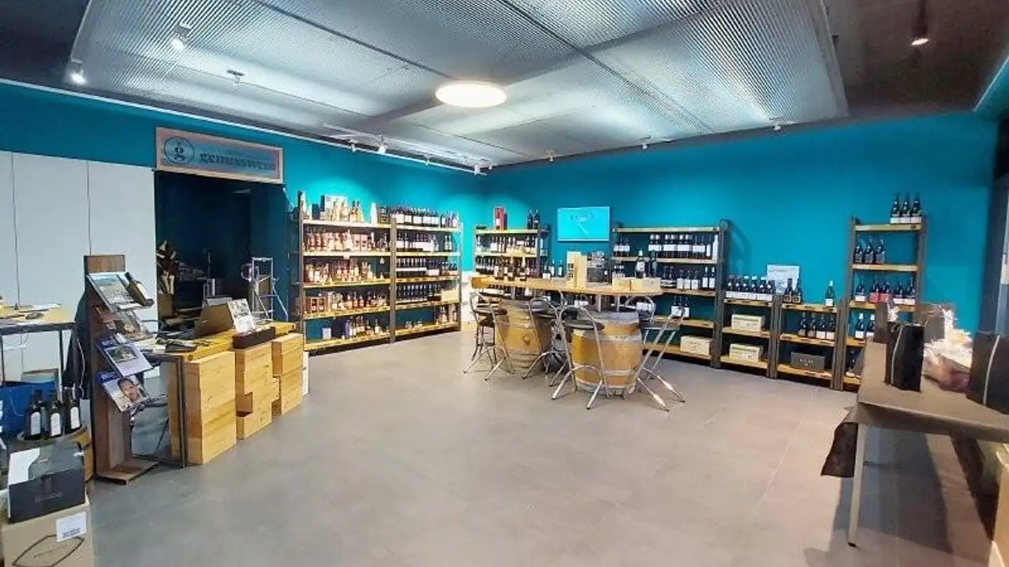 Geschäft mieten - Zentralstrasse 20, 6030 Ebikon - Foto 3