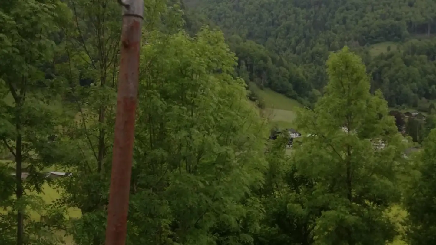 Stanza singola in affitto - Hauptstrasse, 8775 Hätzingen - Photo 3