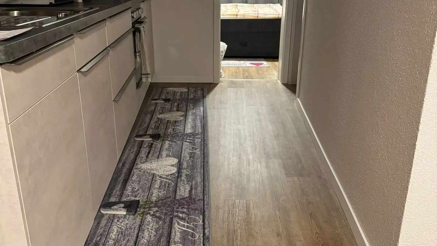 Appartamento in affitto - 8260 Stein am Rhein - Foto 3