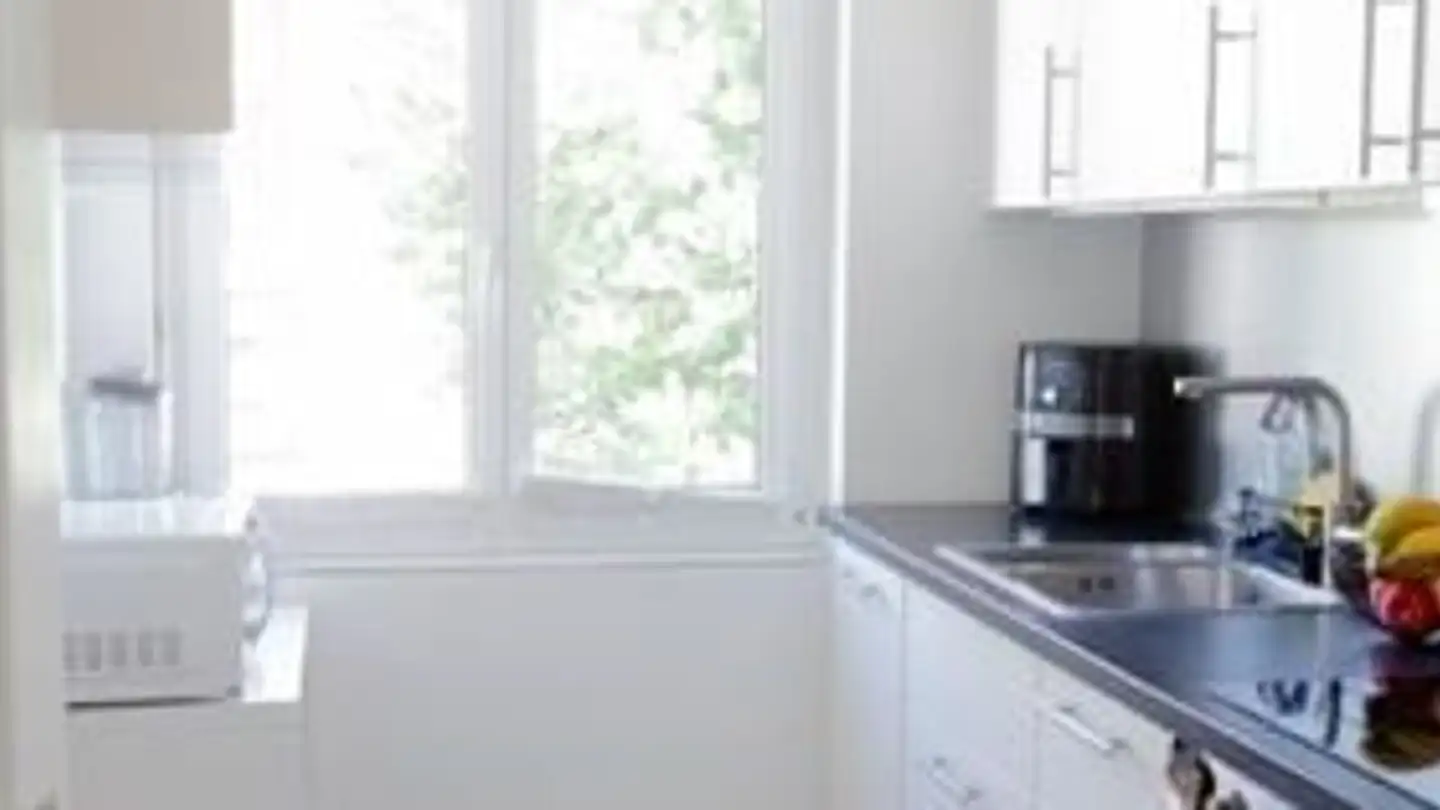 Appartement à vendre - Luchswiesenstrasse 193, 8051 Zürich - Photo 3