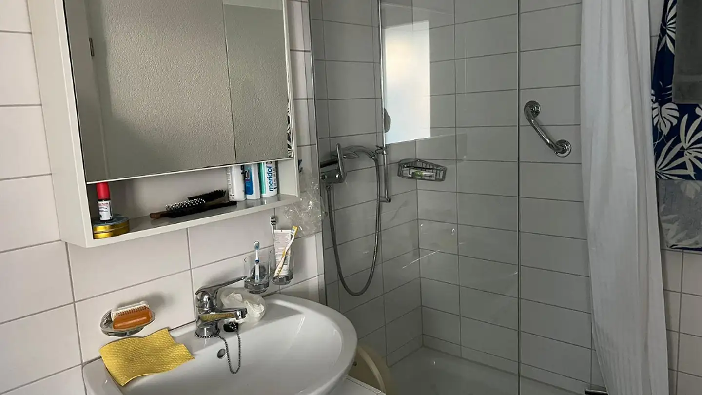 Appartamento in affitto - Friedensgasse 10, 4143 Dornach - Photo 3