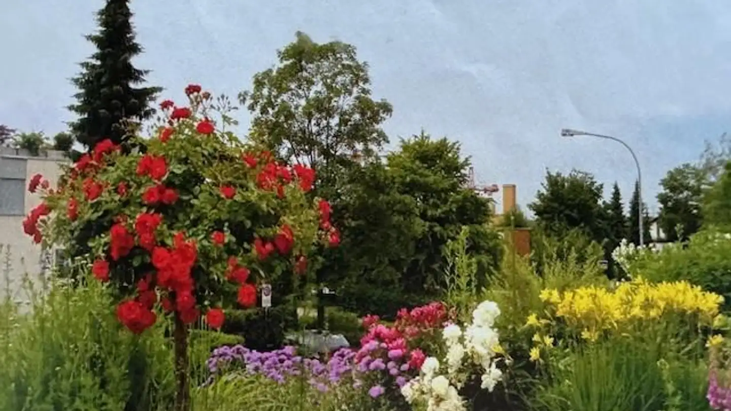 Villa à louer - 8180 Bülach - Photo 3