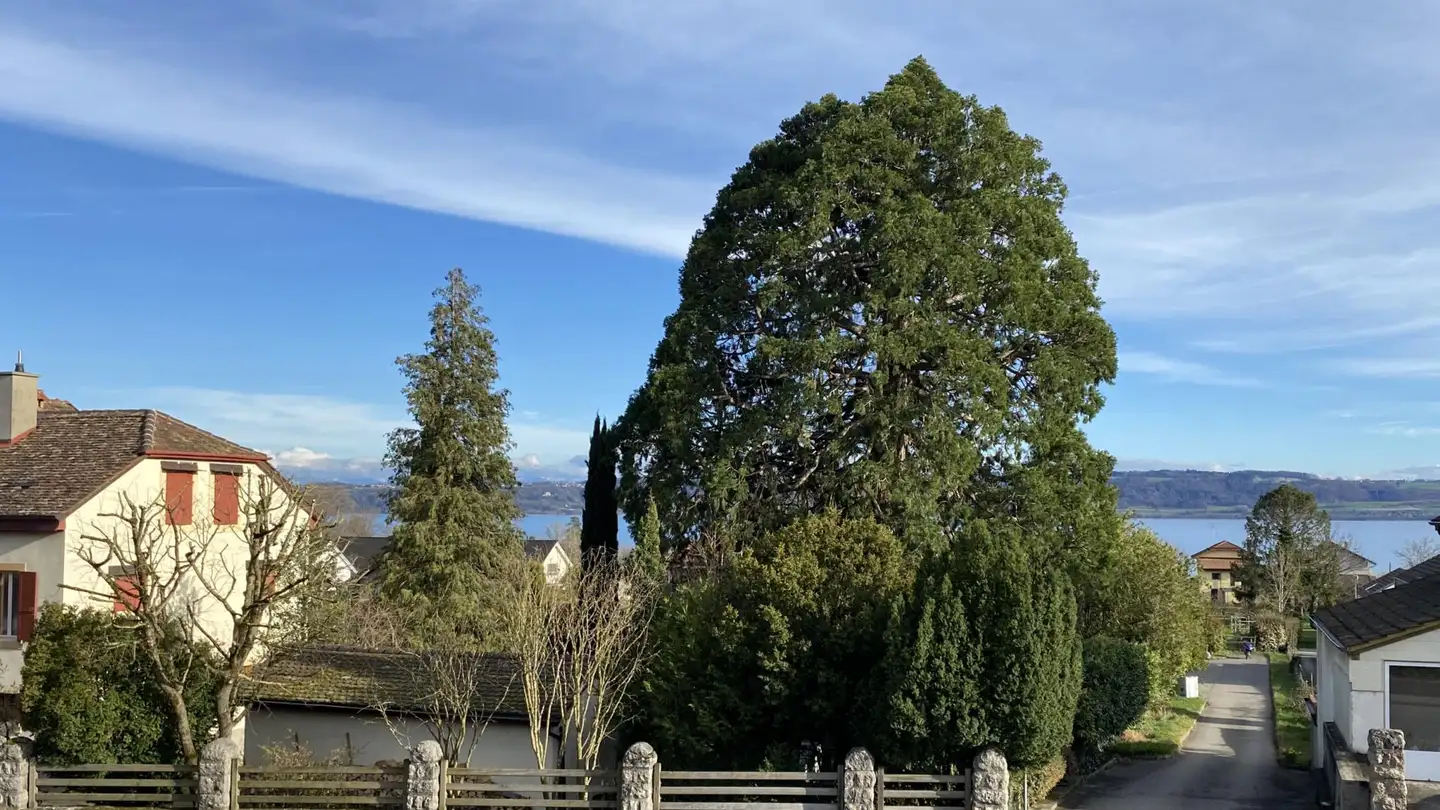 Apartment for rent - Route Cantonale 17a, 1426 Concise - Photo 2