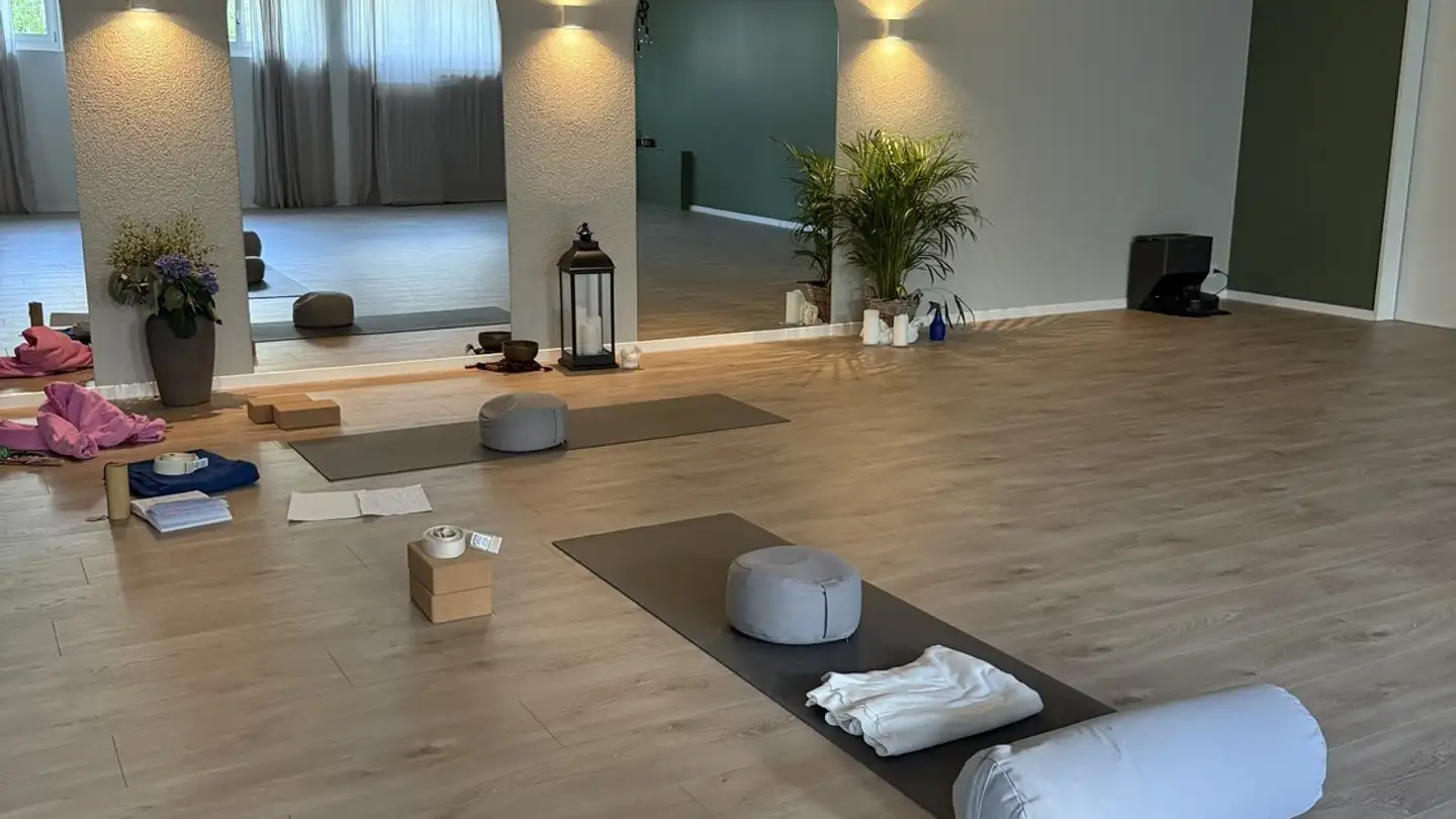 Commercial à louer - Seestrasse 155c, 8802 Kilchberg ZH