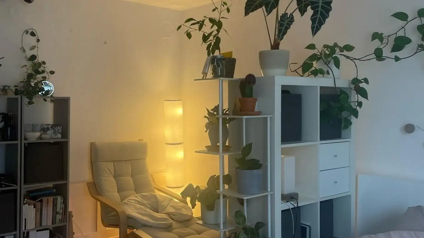 Stanza singola in affitto - Langhausstrasse 1, 5300 Turgi - Foto 2