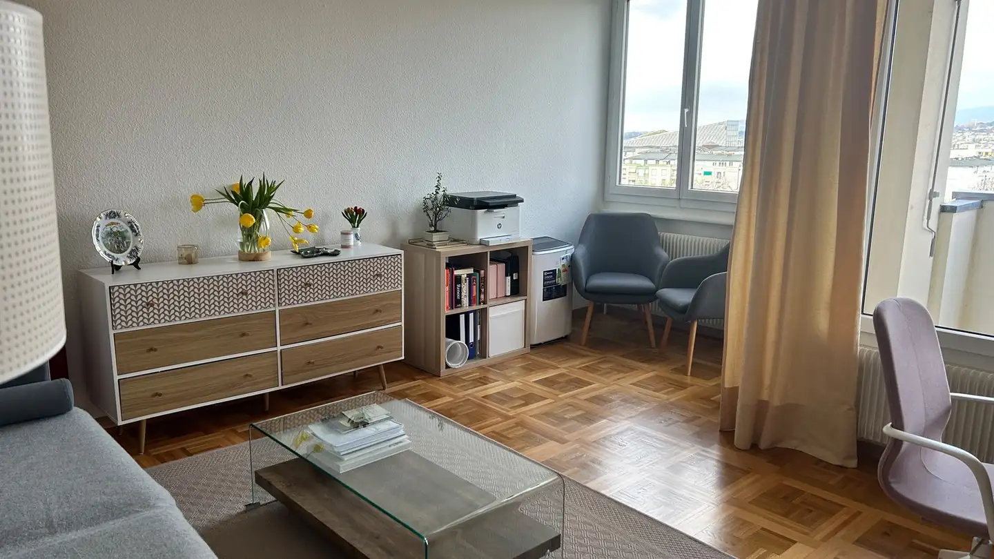 Appartamento in affitto - Rue De Vermont 42, 1202 Genève - Foto 2