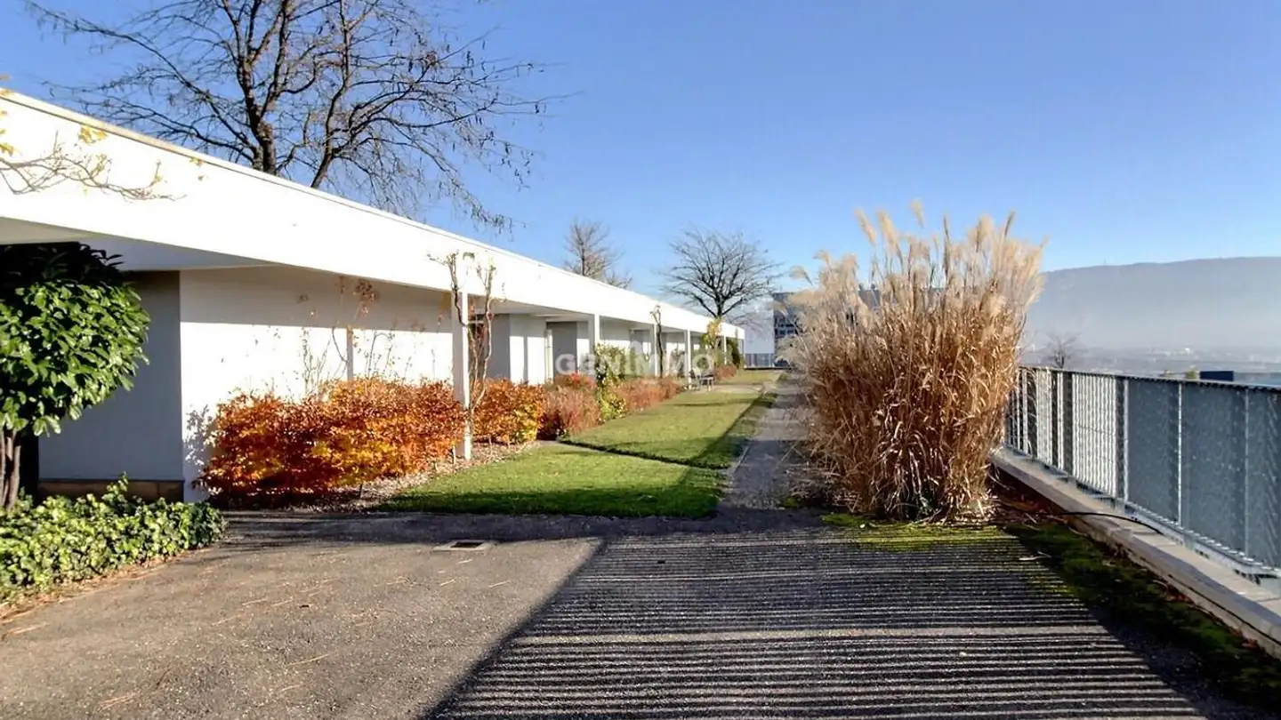 Appartamento in affitto - 1202 Genève - Photo 2