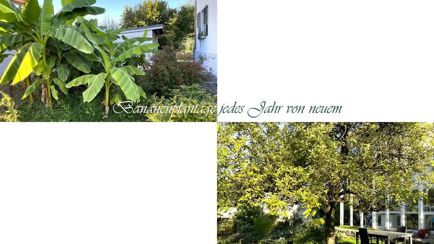 Single house for sale - Blumenstrasse 40, 4900 Langenthal - Photo 2