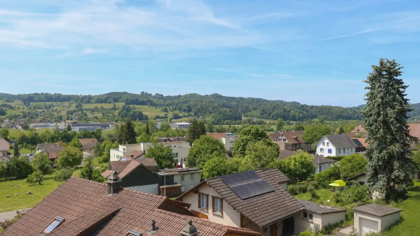 Stepped apartment for sale - Birrwilerstrasse 63, 5732 Zetzwil - Photo 4