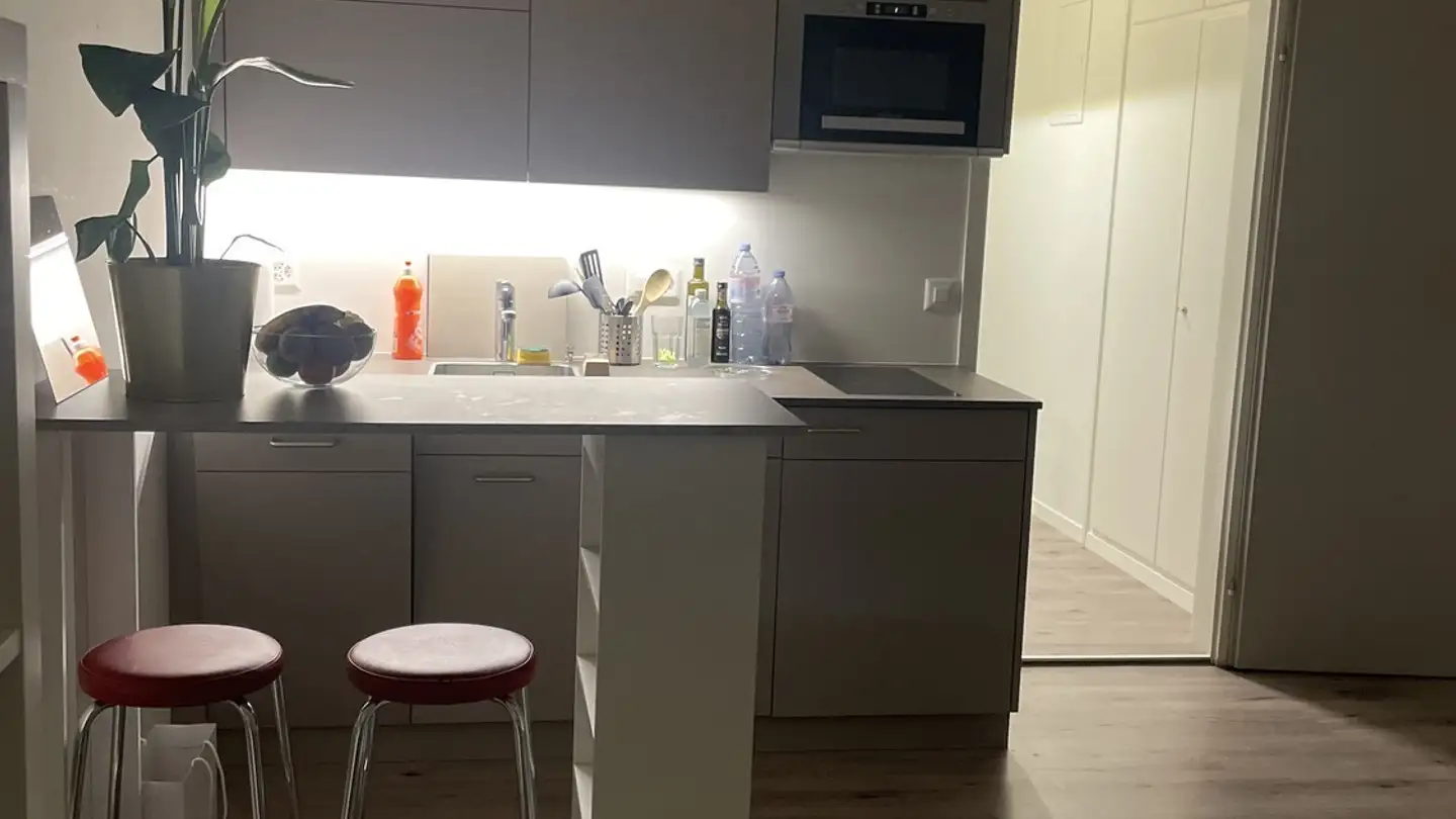 Appartamento ammobiliato in affitto - 8303 Bassersdorf