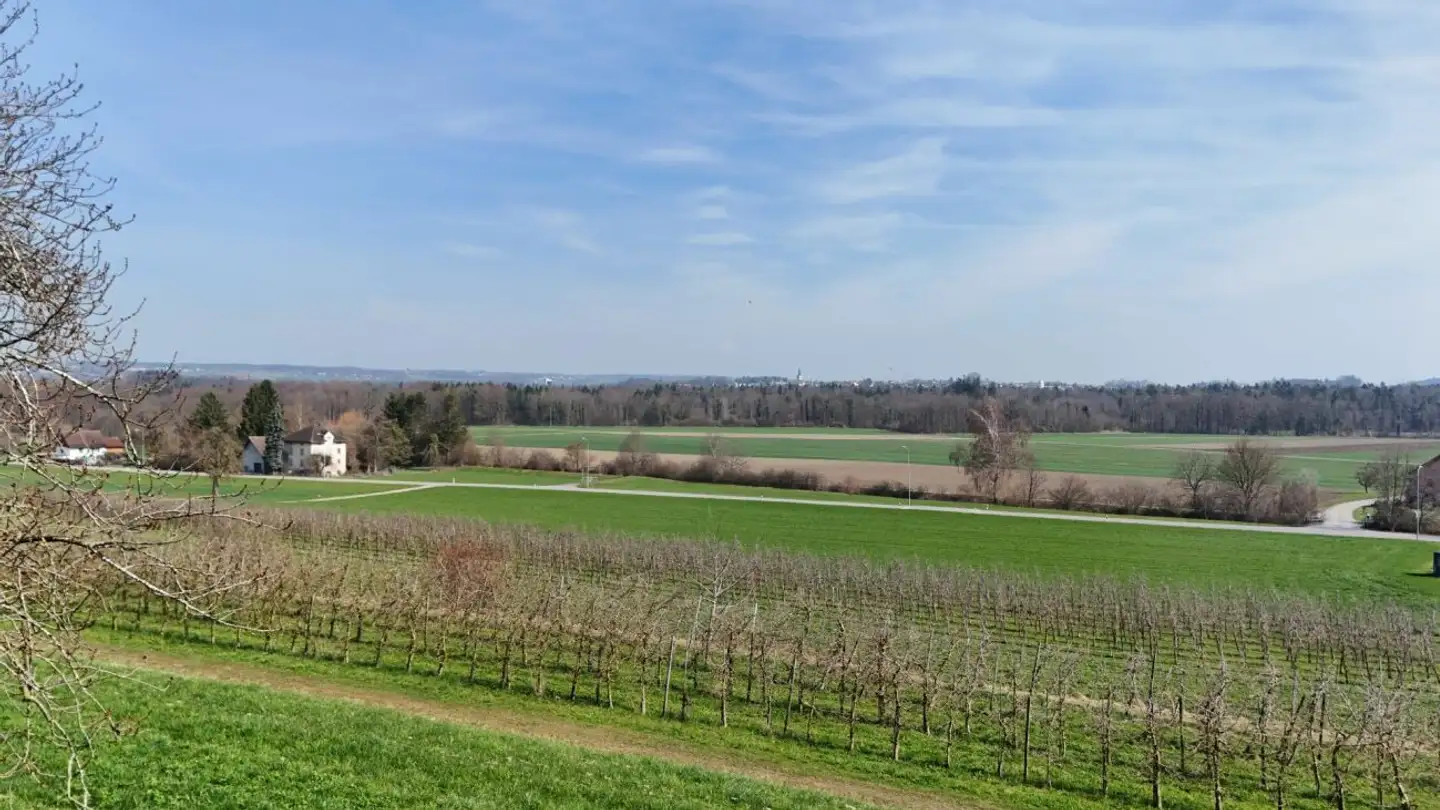 Casa singola in vendita - Untere Breite 4, 9215 Buhwil - Foto 4