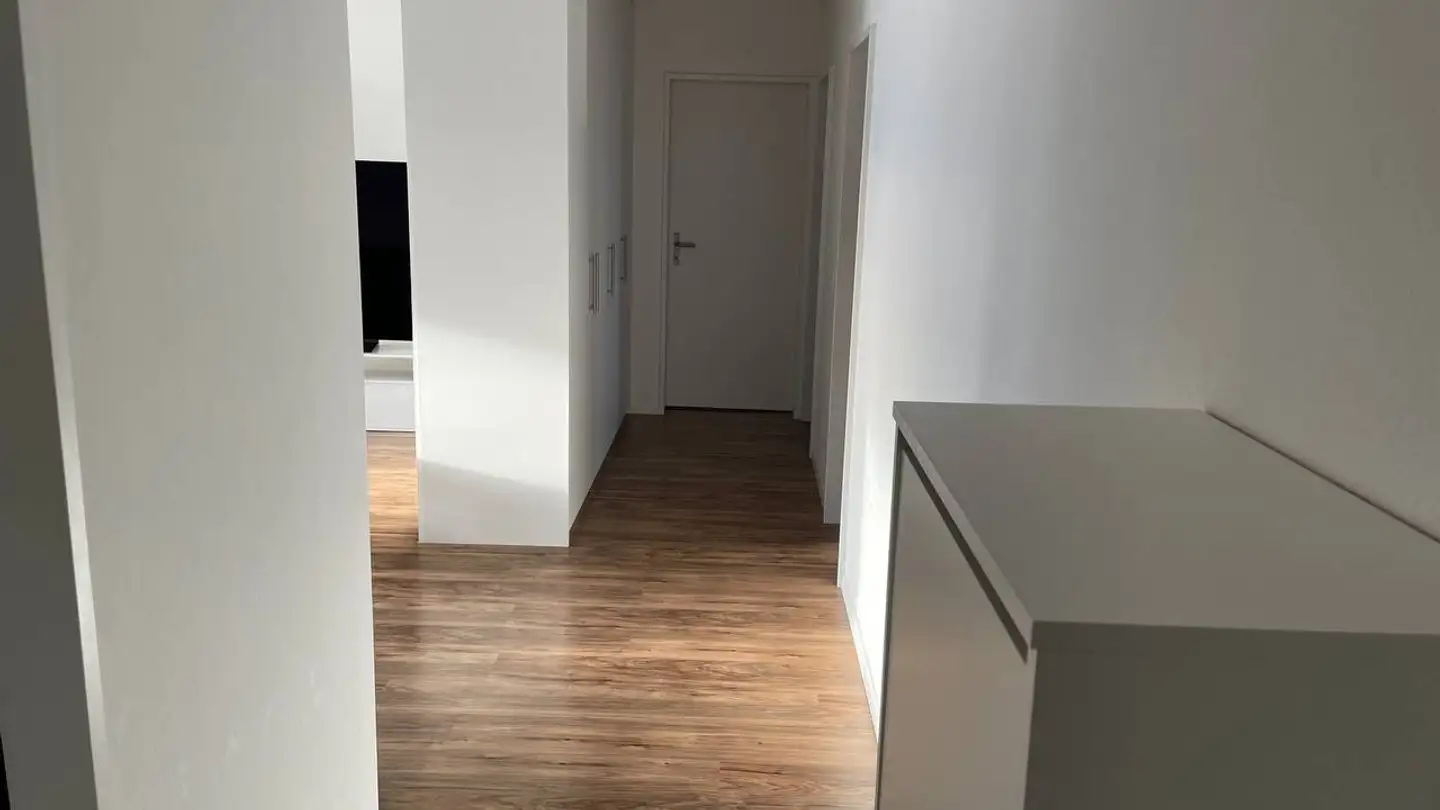 Wohnung mieten - 8952 Schlieren