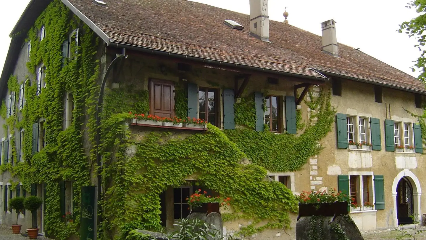 Single house for sale - Route de Satigny, 1242 Satigny - Photo 3