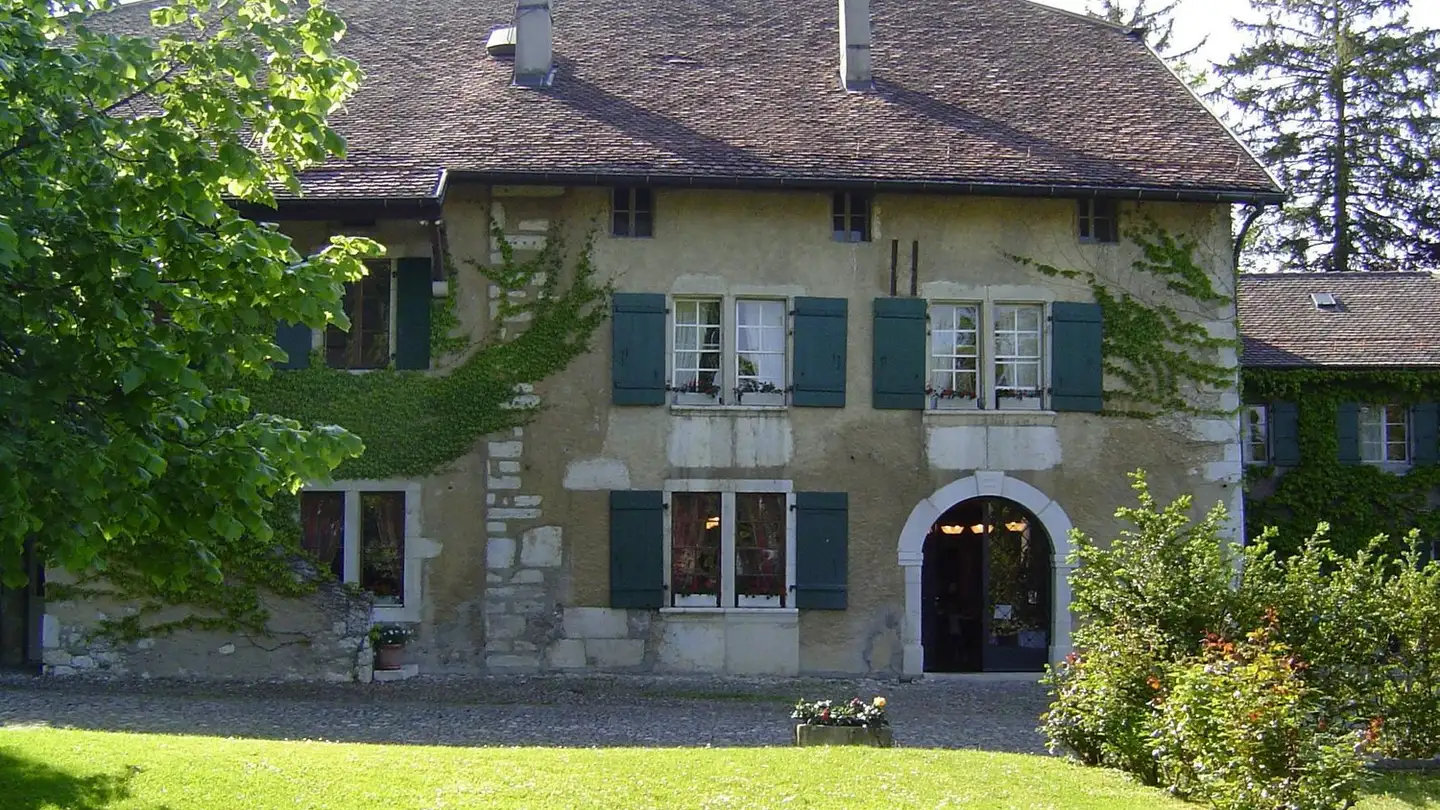 Single house for sale - Route de Satigny, 1242 Satigny - Photo 4