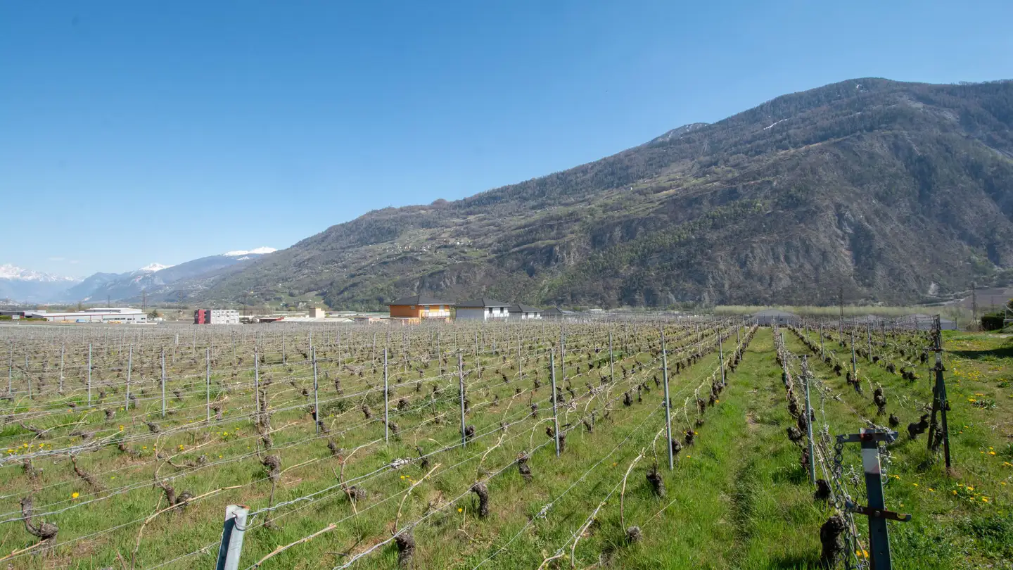 Constructible plot for sale - 1955 St-Pierre-de-Clages - Photo 3