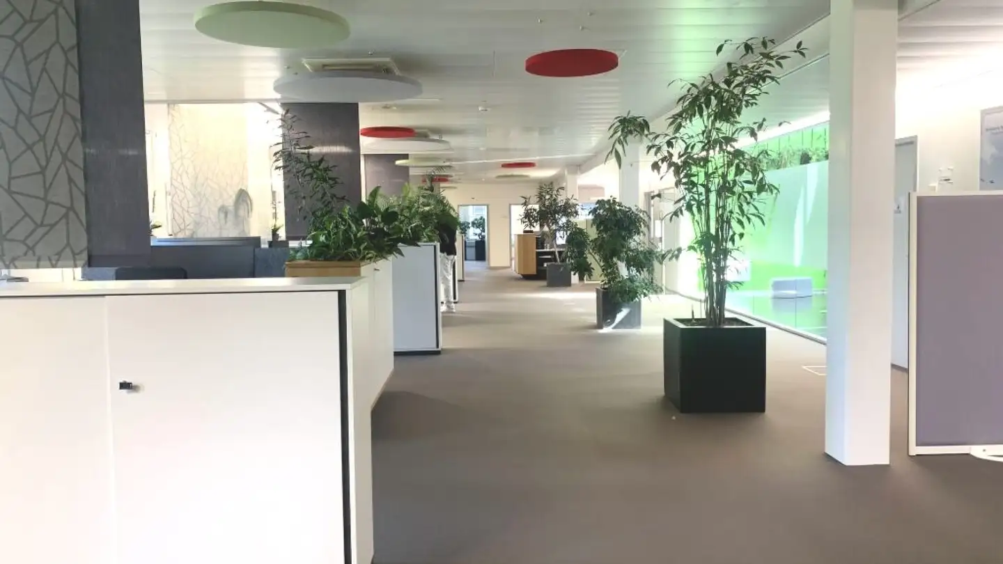 Office space for rent - Route Sous-Riette, 1023 Crissier