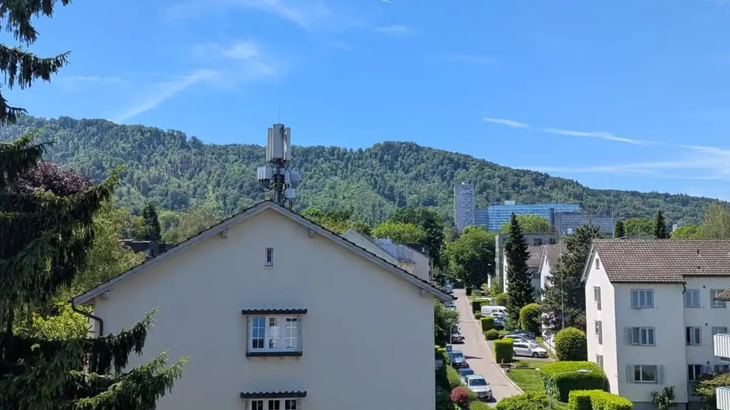Wohnung mieten - Höfliweg 9, 8055 Zürich - Foto 2