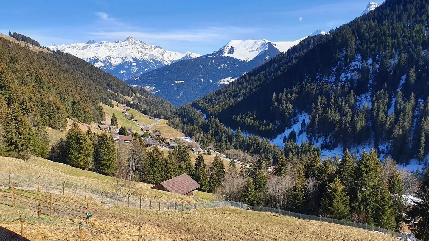 Apartment for rent - 1875 Morgins - Photo 3