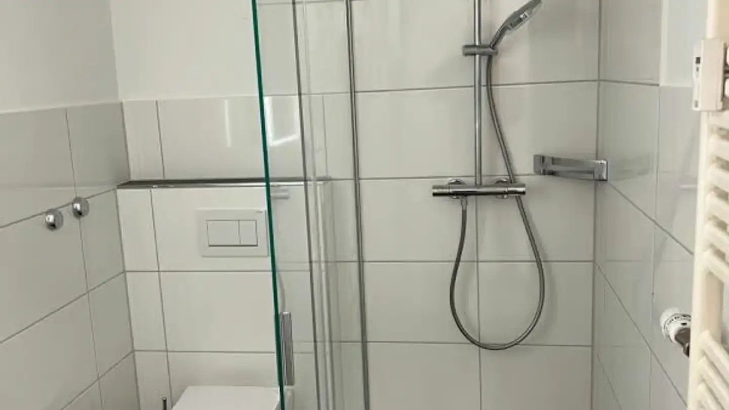 Wohnung mieten - Rheinhaldenstrasse 9, 8200 Schaffhausen - Foto 3
