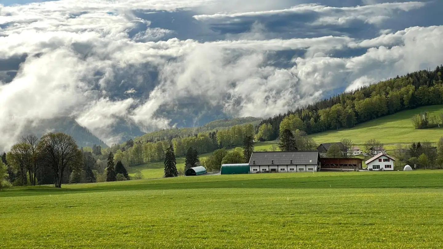 Single house for sale - Rue Bel-Air, 2350 Saignelégier - Photo 2