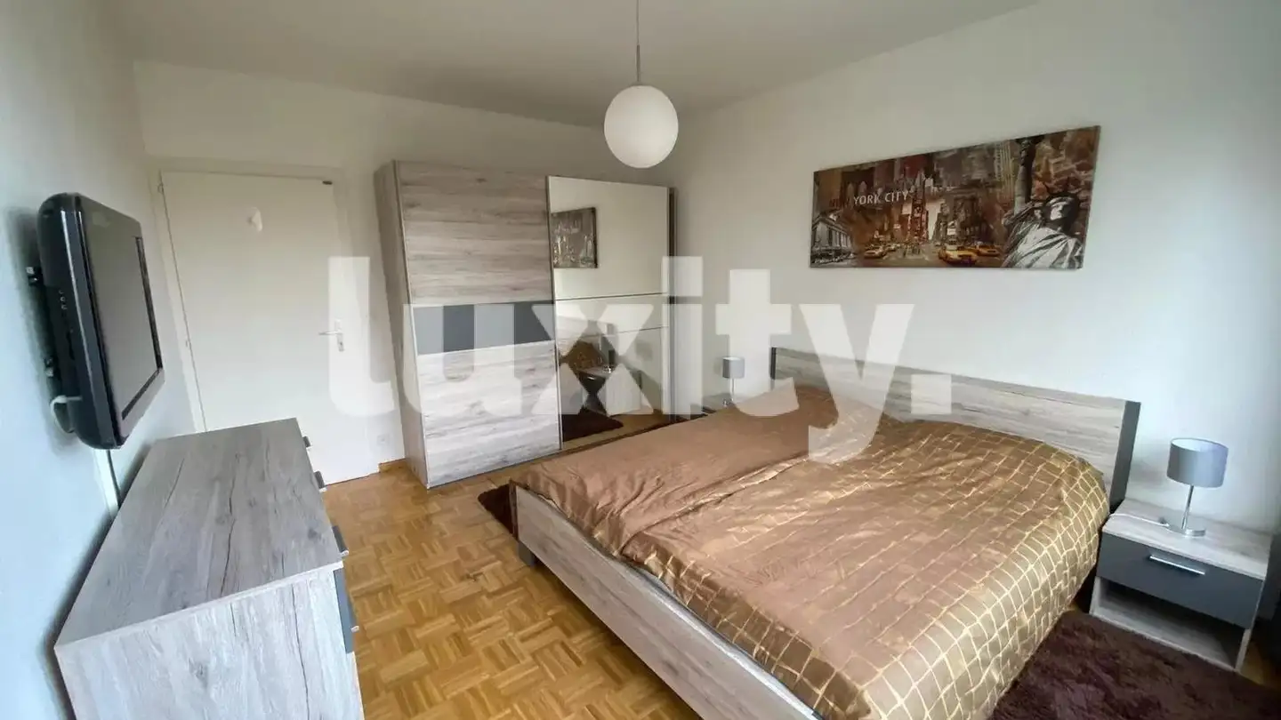 Appartement à louer - Chemin Du Petit-Saconnex, 1209 Genève - Photo 3