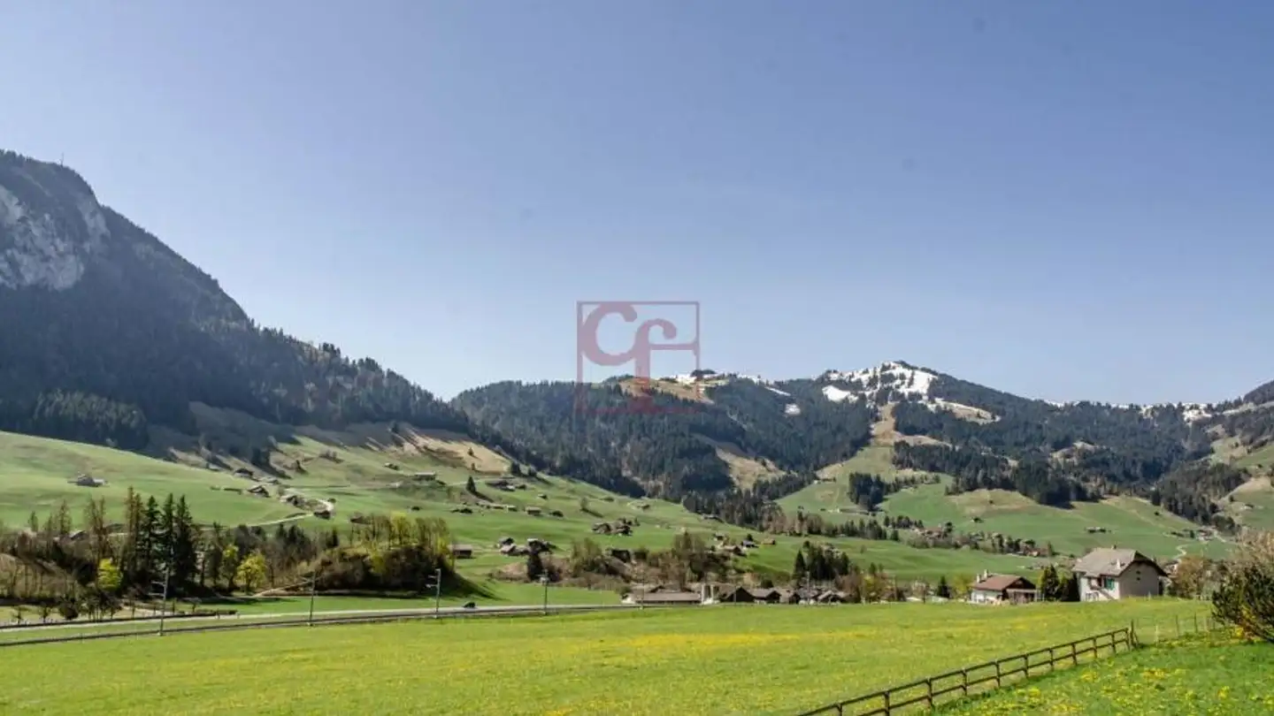 Wohnung kaufen - 1660 Château-d'Oex - Foto 4