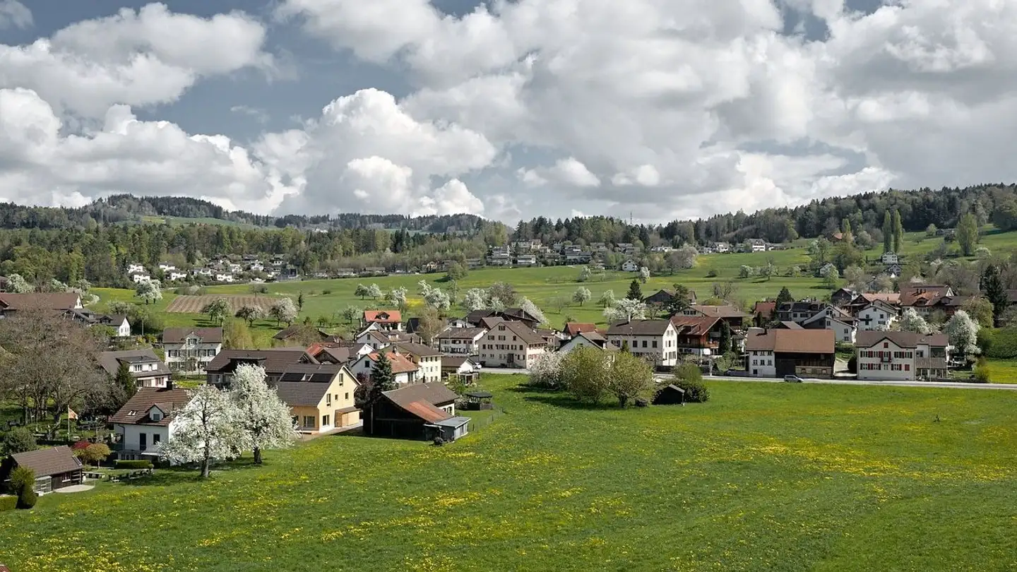 Casa singola in vendita - Winkelstrasse 15, 8620 Wetzikon ZH - Foto 2