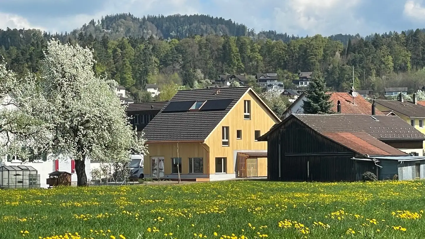 Casa singola in vendita - Winkelstrasse 15, 8620 Wetzikon ZH