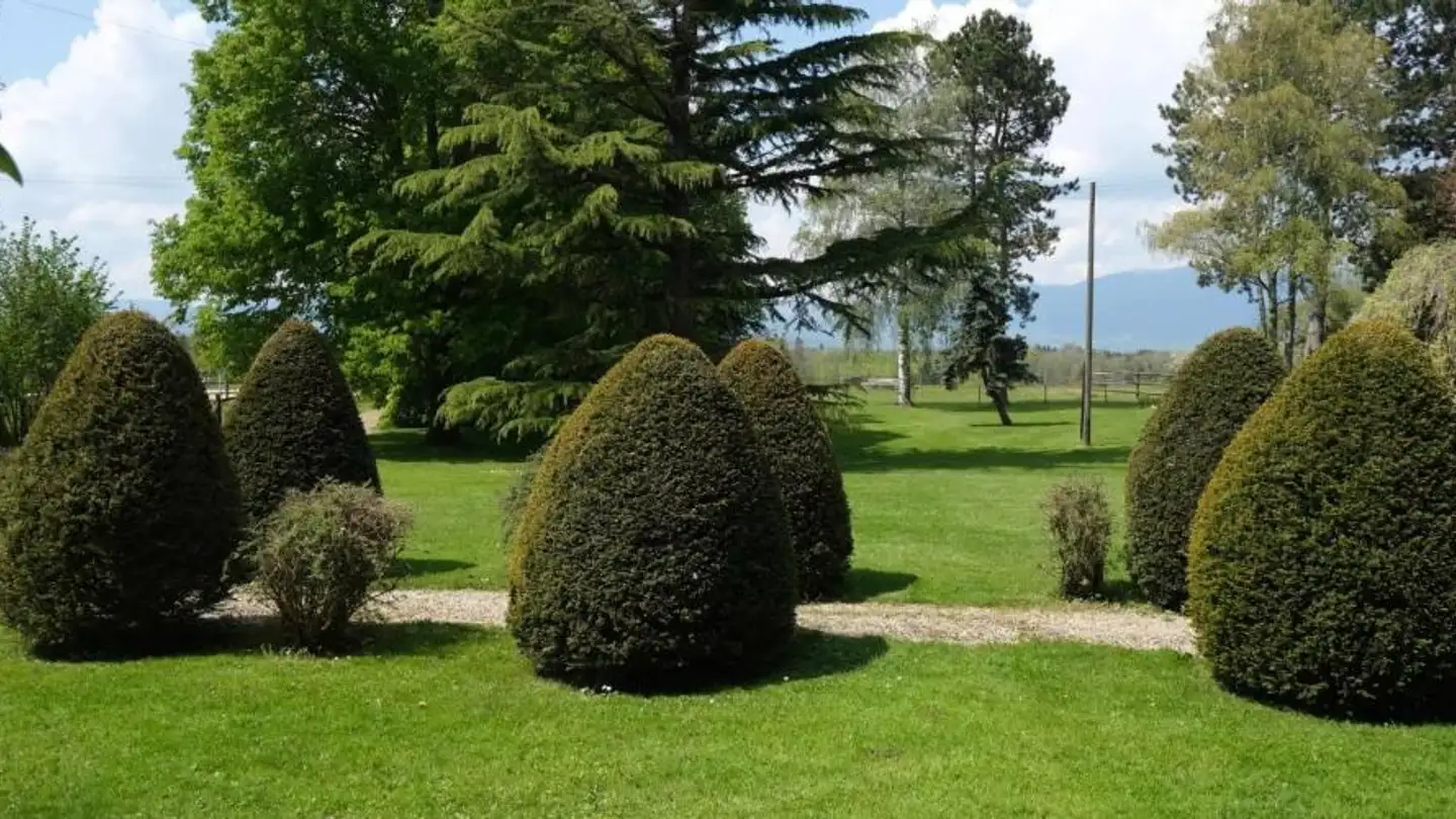 Terrain constructible à vendre - 1418 Vuarrens - Photo 3