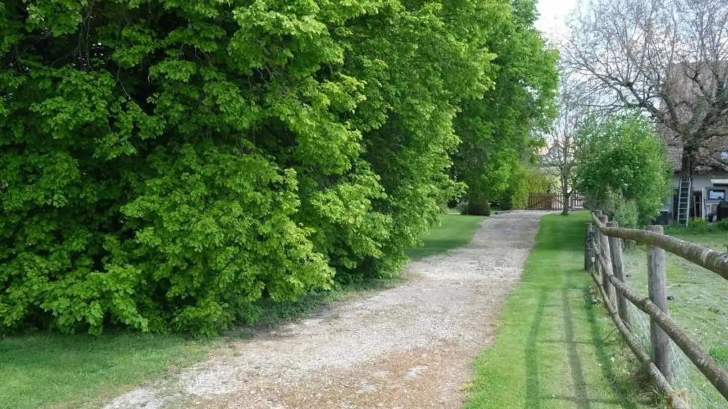 Terrain constructible à vendre - 1418 Vuarrens - Photo 4