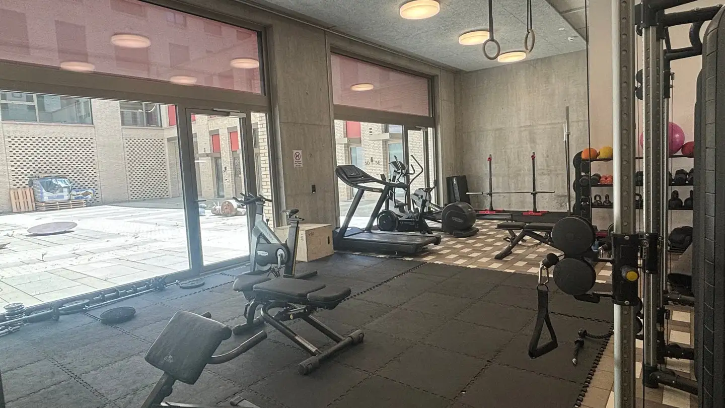 Appartamento in affitto - Brandstrasse 7, 8952 Schlieren