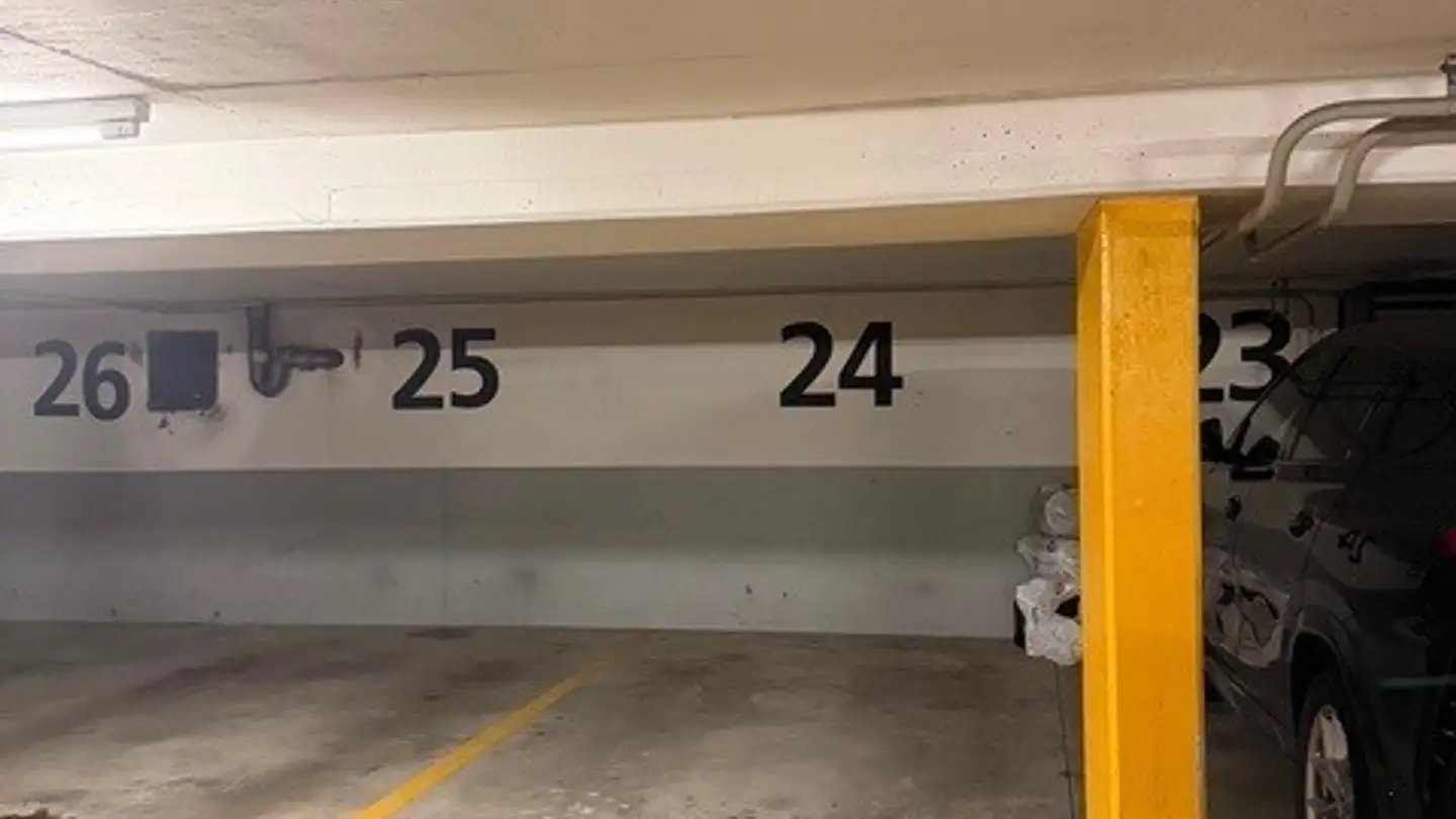 Einzelgarage mieten - Bleicherstrasse 23, 8953 Dietikon - Foto 2