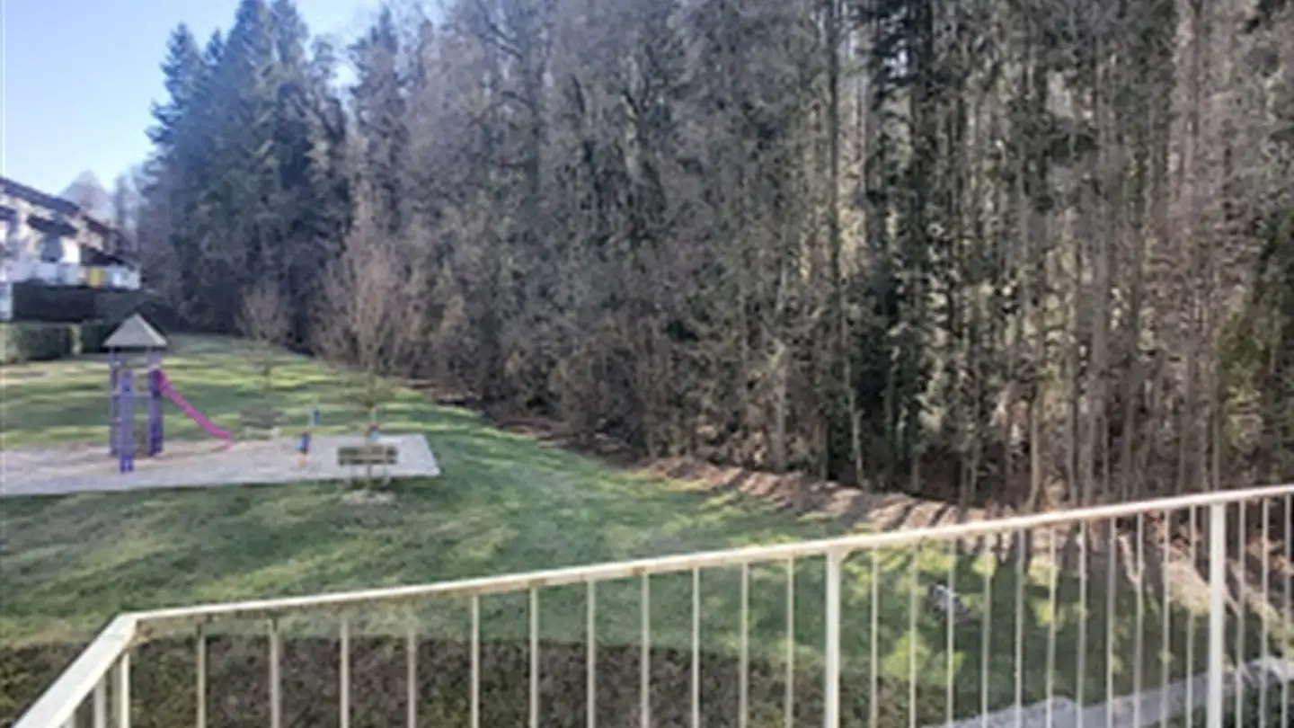 Wohnung mieten - Route Du Village 10a, 1070 Puidoux