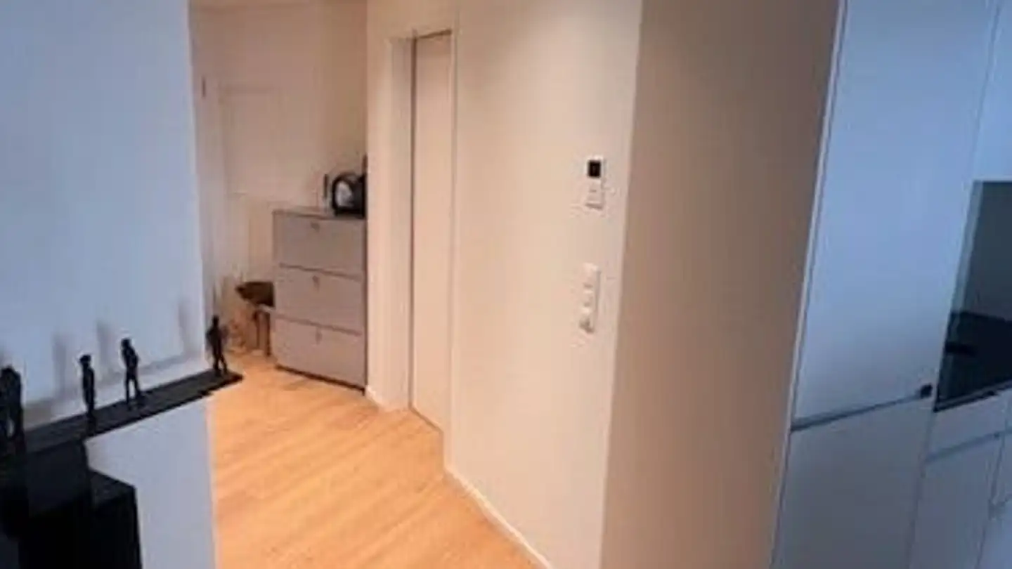 Appartement à louer - Mittlere Bahnhofstrasse 2, 8853 Lachen SZ