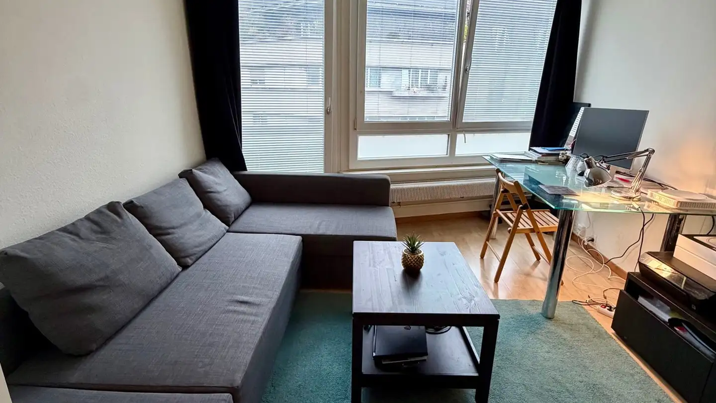 Appartamento in affitto - Rue Jean-Antoine-Gautier 9, 1201 Genève