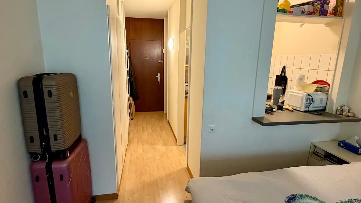 Appartamento in affitto - Rue Jean-Antoine-Gautier 9, 1201 Genève - Foto 2