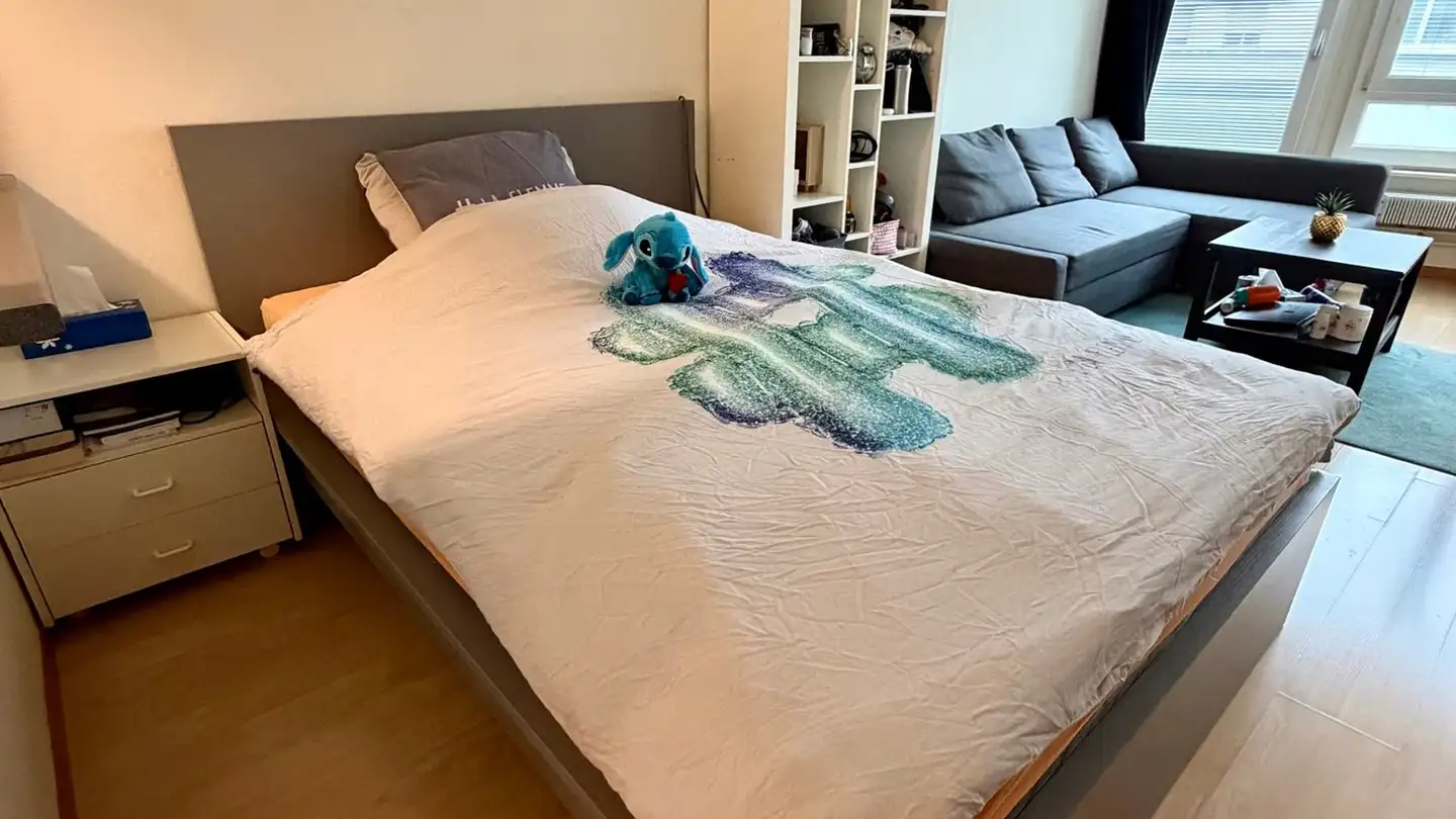 Appartamento in affitto - Rue Jean-Antoine-Gautier 9, 1201 Genève - Foto 3