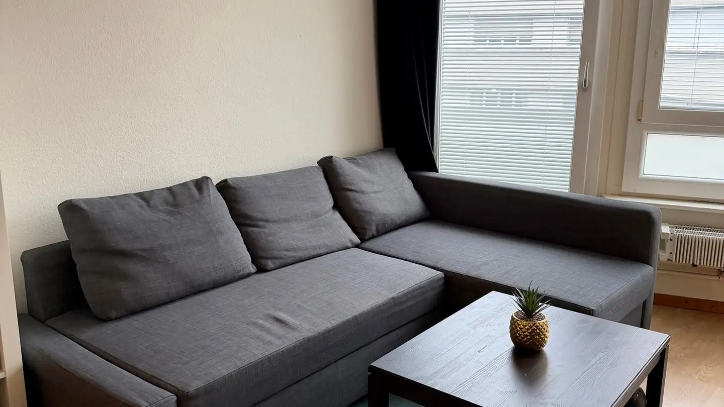 Appartamento in affitto - Rue Jean-Antoine-Gautier 9, 1201 Genève - Foto 4