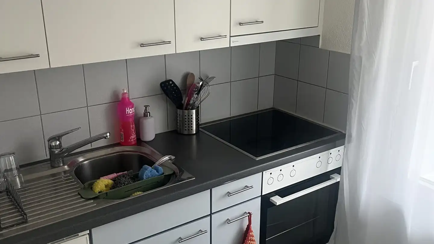 Furnished apartment for rent - 6003 Luzern - Photo 4