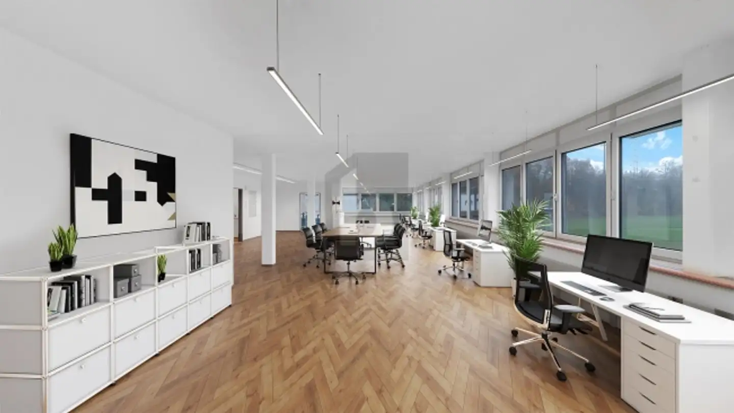 Castello in vendita - 5014 Gretzenbach - Foto 4