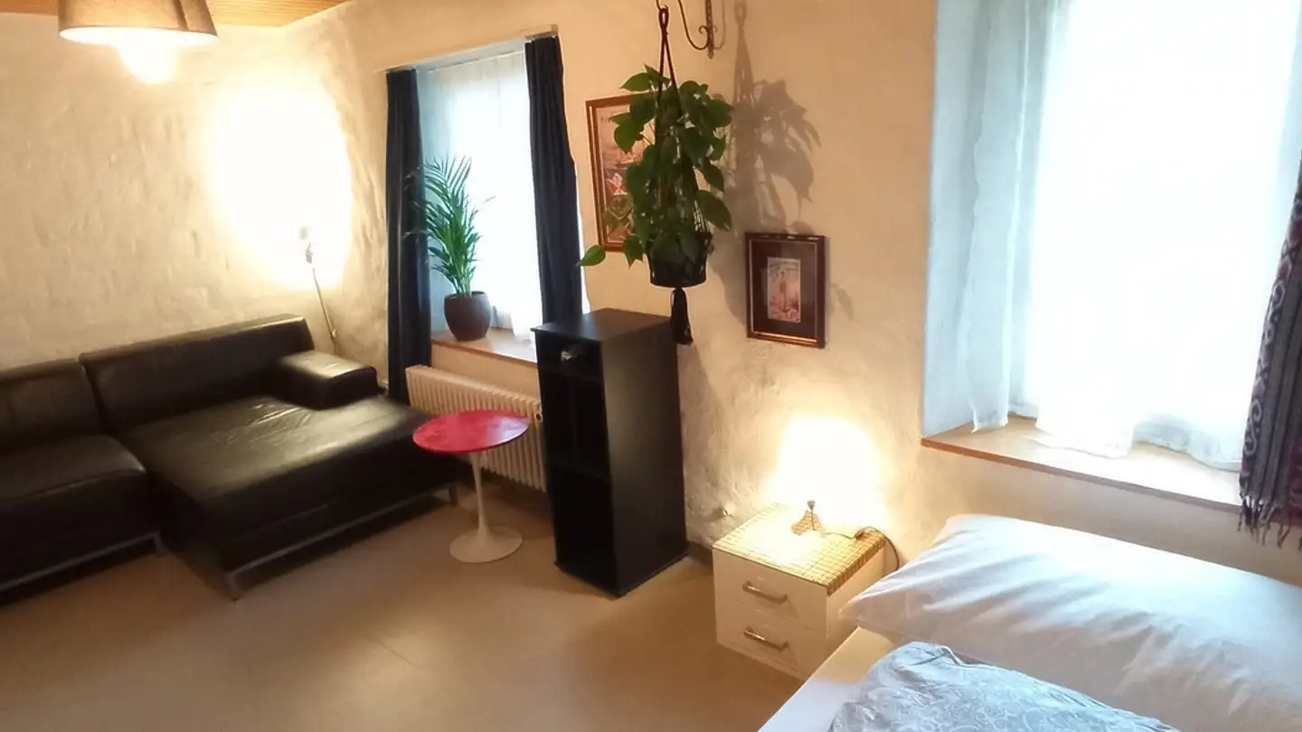 Single room for rent - Brunnenmühleweg 11, 5200 Brugg AG