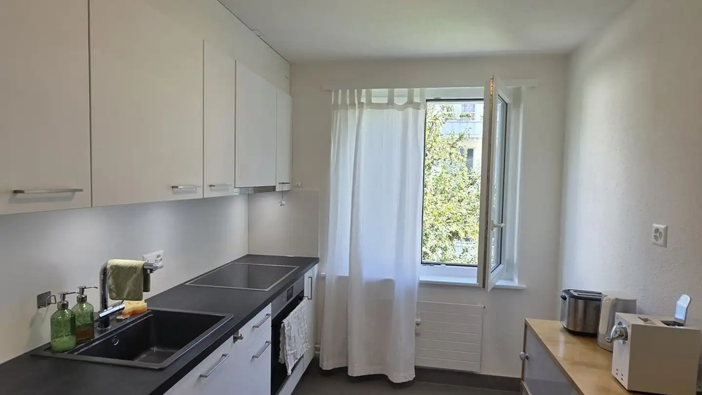 Appartamento in affitto - Elfenaustrasse 34, 6005 Luzern - Foto 4