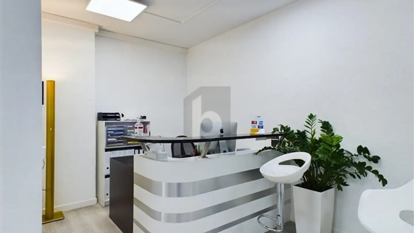 Einfamilienhaus mieten - 1003 Lausanne - Foto 2