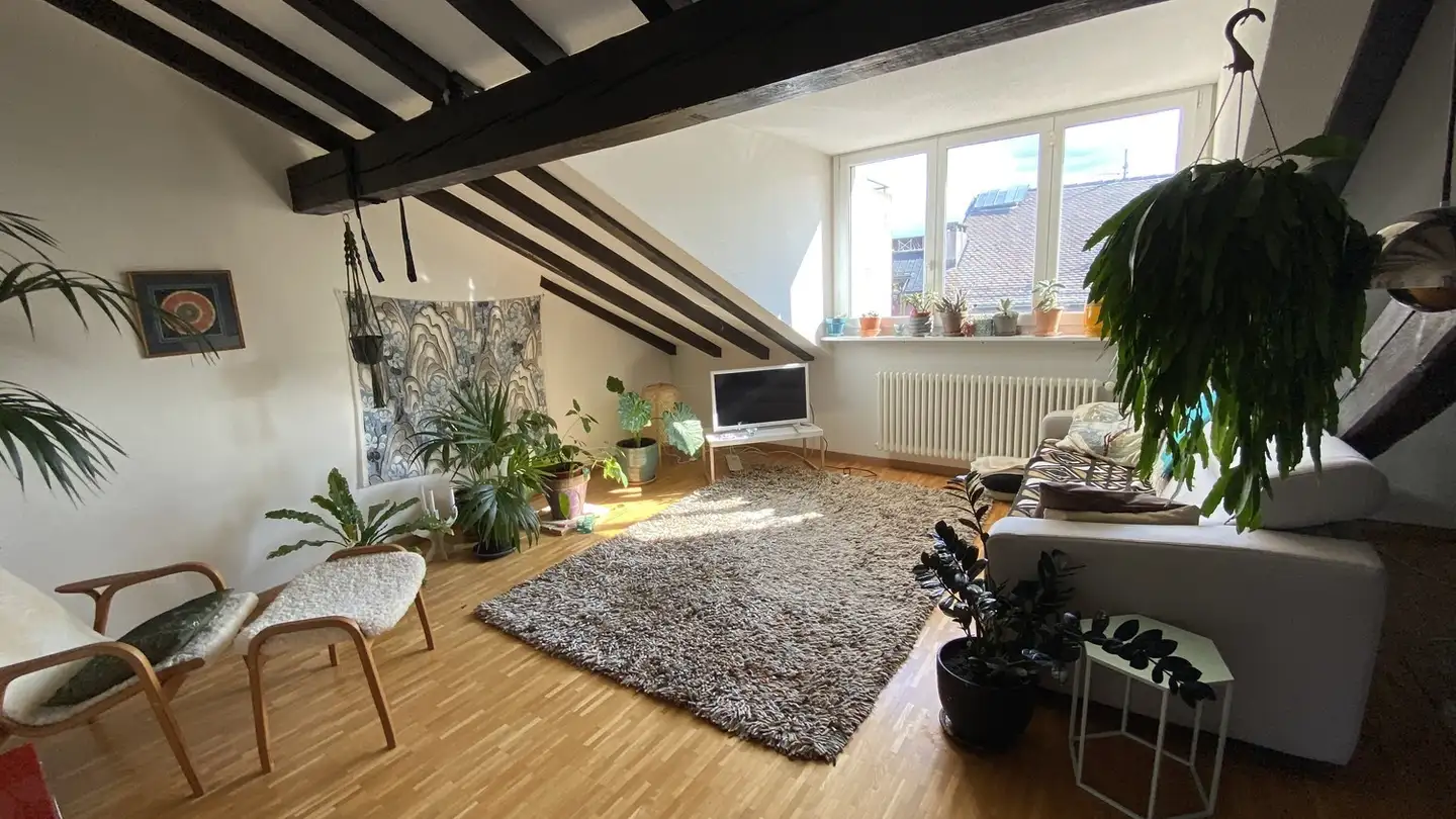 Appartement à louer - 1227 Carouge GE