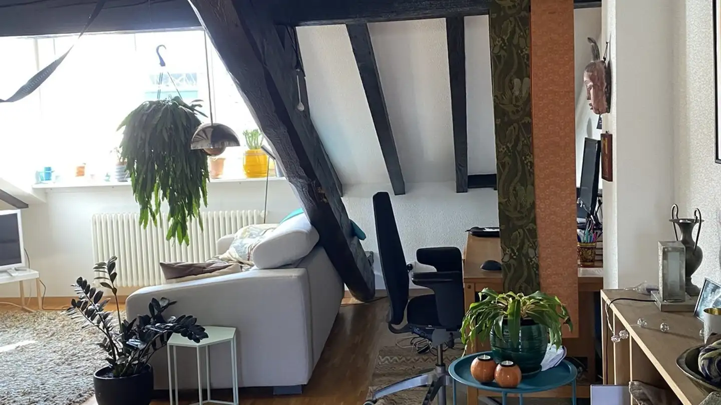 Appartamento in affitto - 1227 Carouge GE - Foto 2