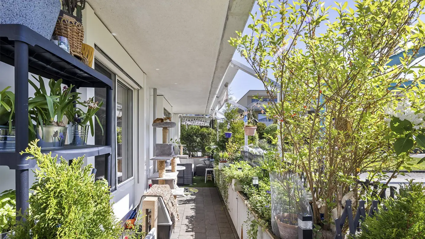 Appartement à vendre - Ruchackerweg 17, 4612 Wangen b. Olten - Photo 2