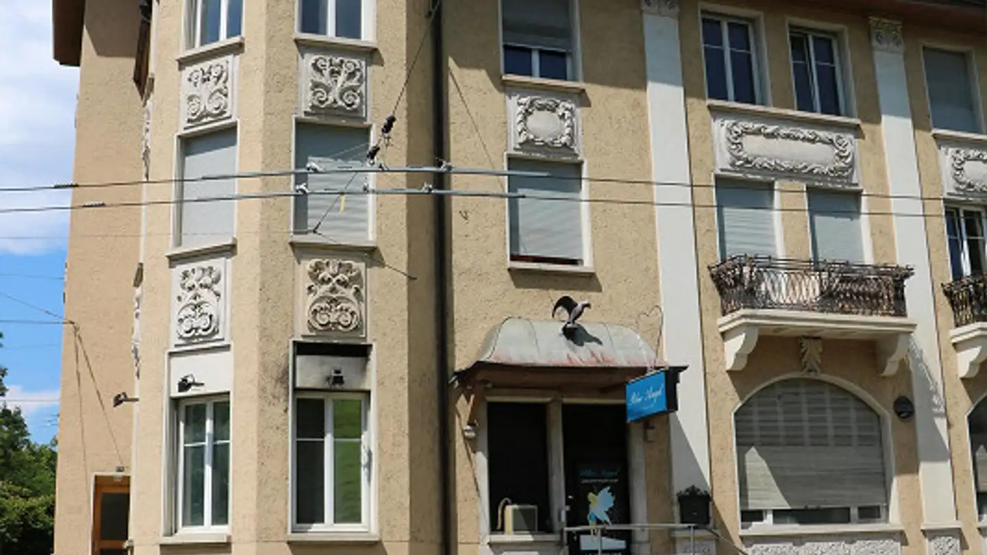 Gewerbe mieten - Ebnatstrasse 29, 8200 Schaffhausen