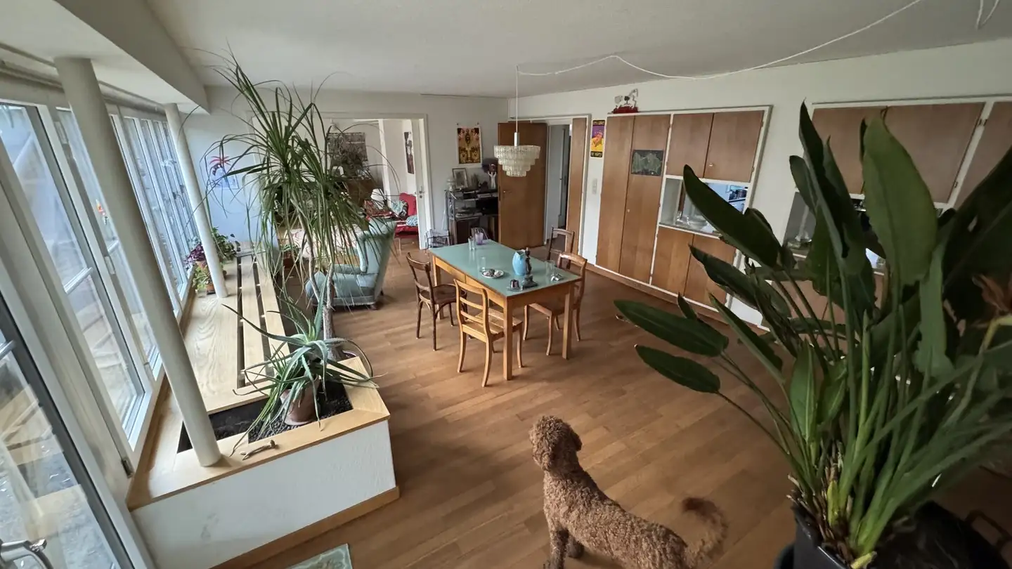 Zimmer mieten - 8953 Dietikon